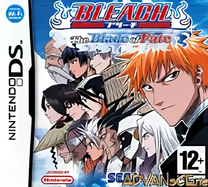 Image n° 1 - box : Bleach - The Blade of Fate